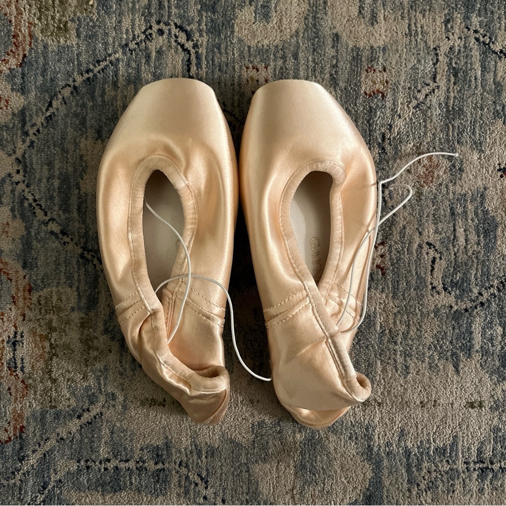 Gaynor Minden Pointe Shoes